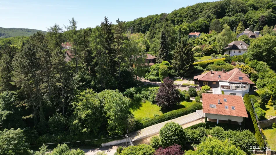 MAUERBACH-STEINBACH | Außergewöhnliche Liegenschaft in idyllischer Ruhe- & Parklage auf bis zu 4.242 m² Grund | ZELLMANN IMMOBILIEN - Titelbild
