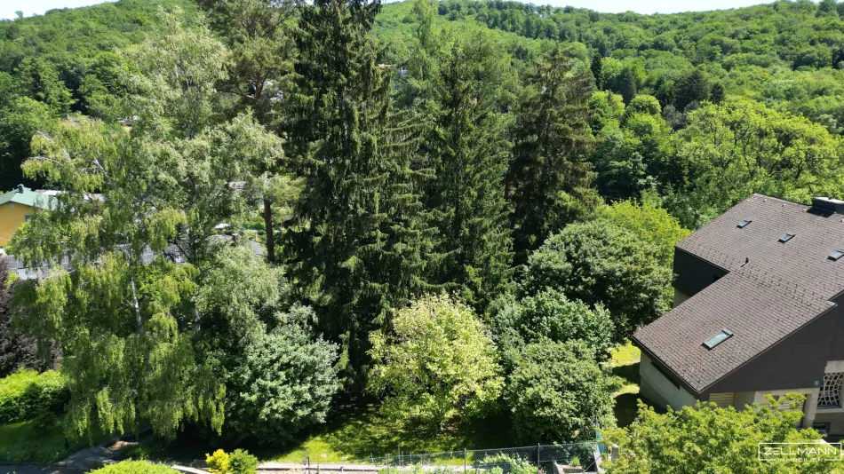 BAUGRUNDSTÜCK IN MAUERBACH – 1.071 m² IN RUHIGER HANG- UND GRÜNLAGE MIT ENTWICKLUNGSPOTENZIAL | ZELLMANN IMMOBILIEN - Titelbild