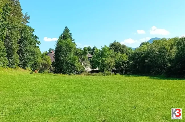 K3 - HISTORISCHES ANWESEN mit großem Potential. 2,4 ha. Alleinlage. Großes Wohnhaus und Nebengebäude. Renovierungsbedarf. - Titelbild