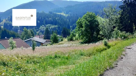 Land- und Forstwirtschaftliches-Grundstück in Steinhaus am Semmering – nur 20.500 €!