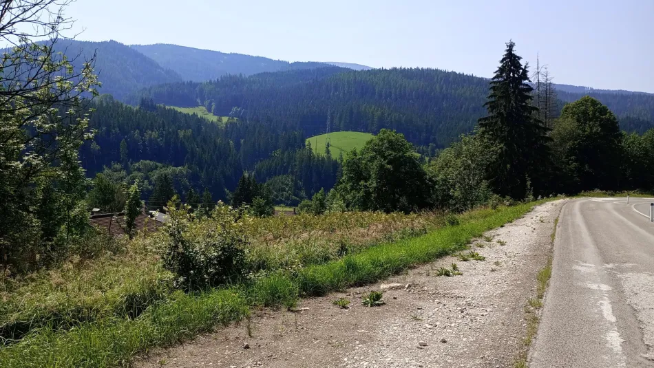 Großes Land- und Forstwirtschafts-Grundstück in Steinhaus am Semmering – nur 20.500 €! - Bild