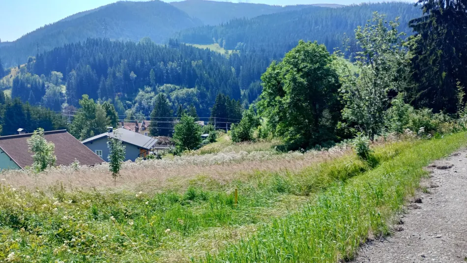 Großes Land- und Forstwirtschafts-Grundstück in Steinhaus am Semmering – nur 20.500 €! - Titelbild