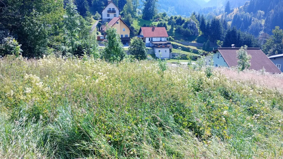Großes Land- und Forstwirtschafts-Grundstück in Steinhaus am Semmering – nur 20.500 €! - Bild