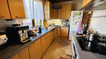Riesige 10 Zimmer Doppelhaushälfte mit 400 m² Garten nahe Wien