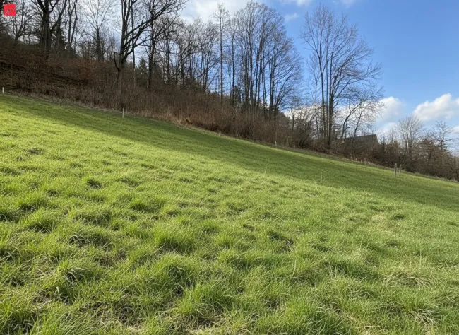 Attraktiver Bauplatz mit idyllischem Grünblick - Bild