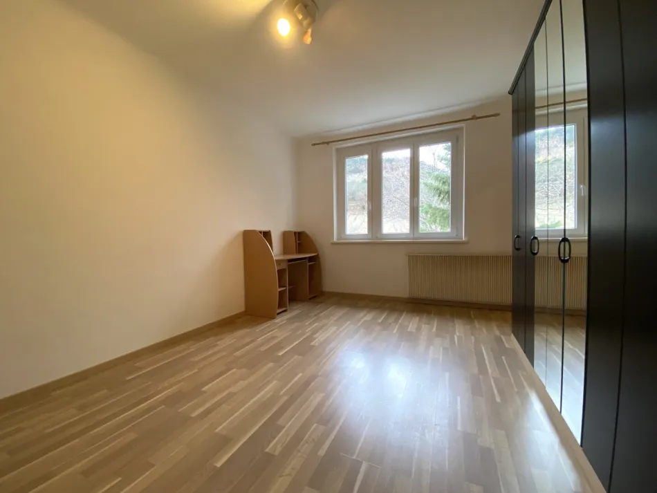 Charmante 1-Zimmer-Wohnung in ruhiger Lage von Mödling – ideal für Anleger - Titelbild