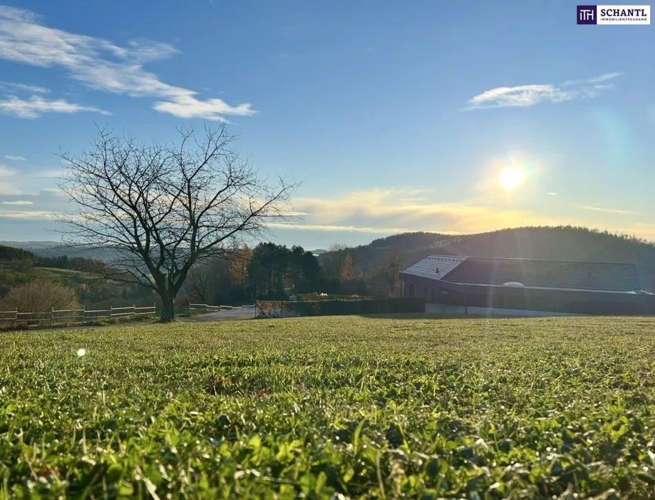 Seltene Gelegenheit über den Dächern von Graz: Traumgrundstück mit spektakulärer Aussicht. Jetzt Besichtigungstermin vereinbaren! - Titelbild