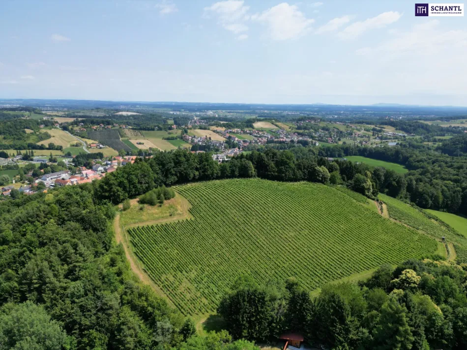 Ein Logenplatz an der Südsteirischen Weinstraße: Exklusives Chalet-Grundstück mit spektakulärem Panoramablick - Bild