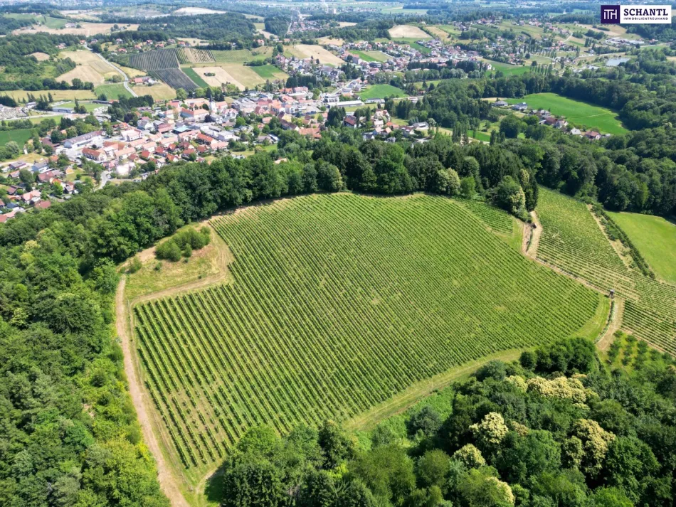 Ein Logenplatz an der Südsteirischen Weinstraße: Exklusives Chalet-Grundstück mit spektakulärem Panoramablick - Bild