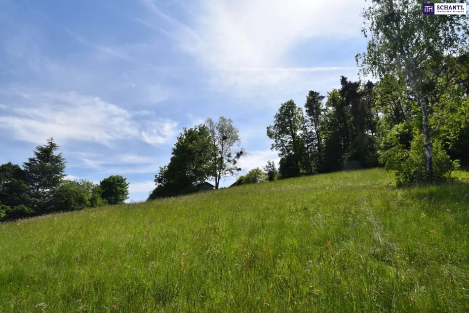 Natur, Ruhe, Ausblick: Traumgrundstück in begehrter Wohnlage von Graz-St. Veit - Bild