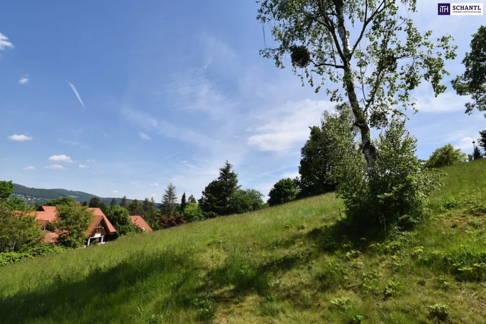 Natur, Ruhe, Ausblick: Traumgrundstück in begehrter Wohnlage von Graz-St. Veit - Titelbild