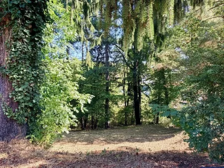 Wald