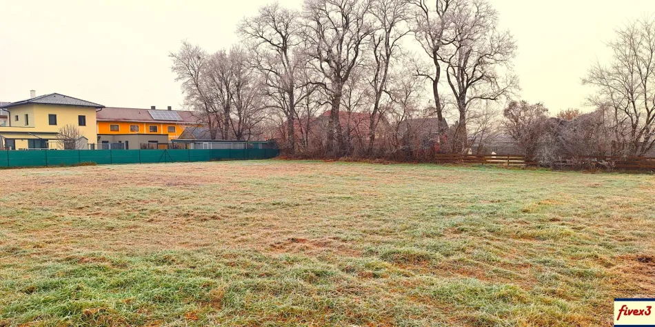 GARTEN in Ruhelage in der Gemeinde Zwentendorf zu pachten - provisionsfrei ! - Titelbild