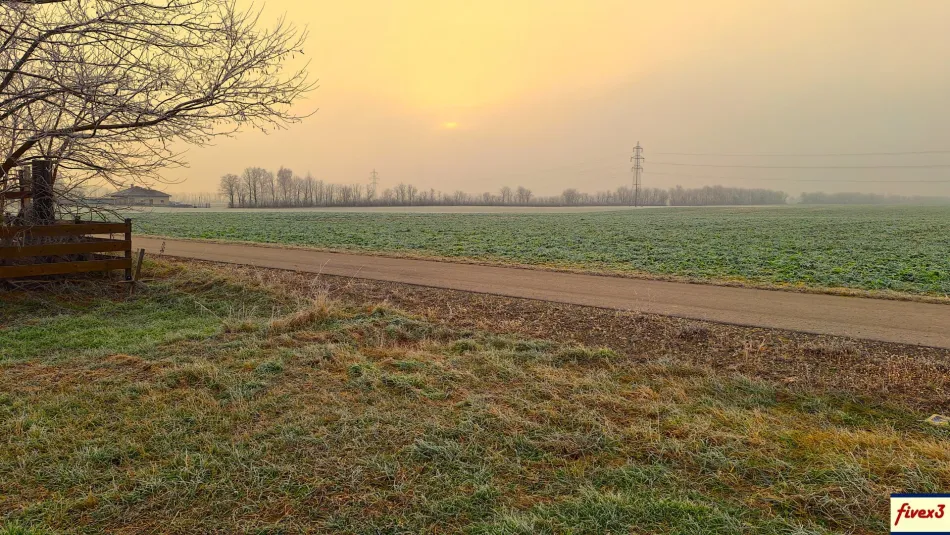GARTEN in Ruhelage in der Gemeinde Zwentendorf zu pachten - provisionsfrei ! - Bild