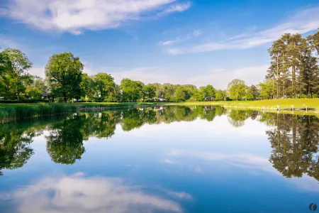 Waldsee zum Baden