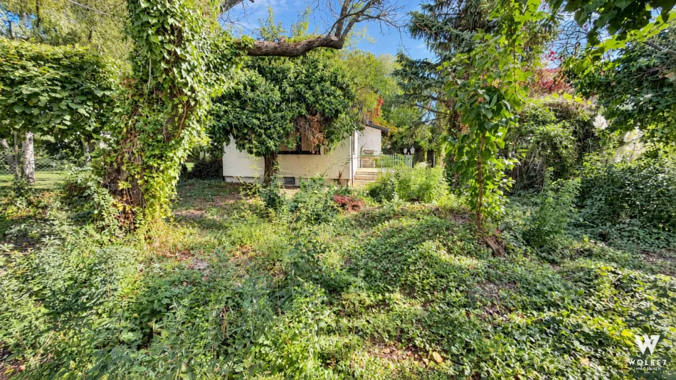Baugrundstück Alte Donau | ganzjährig bewohnbar | ca. 324 m² Grundstücksfläche - Bild