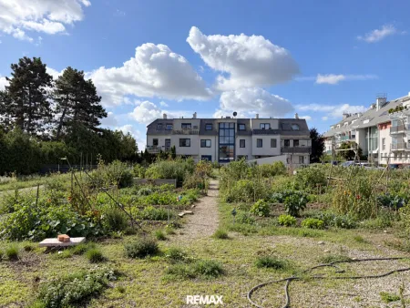 Urban Gardening