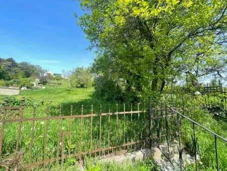 Zentrales Einfamilienhaus in Neusiedl am See für Wohnen, Praxis, Stauraum,... - Titelbild