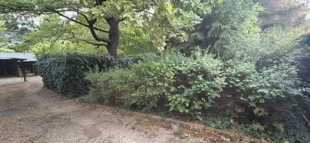 Einfahrt