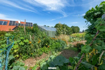 Garten vorne