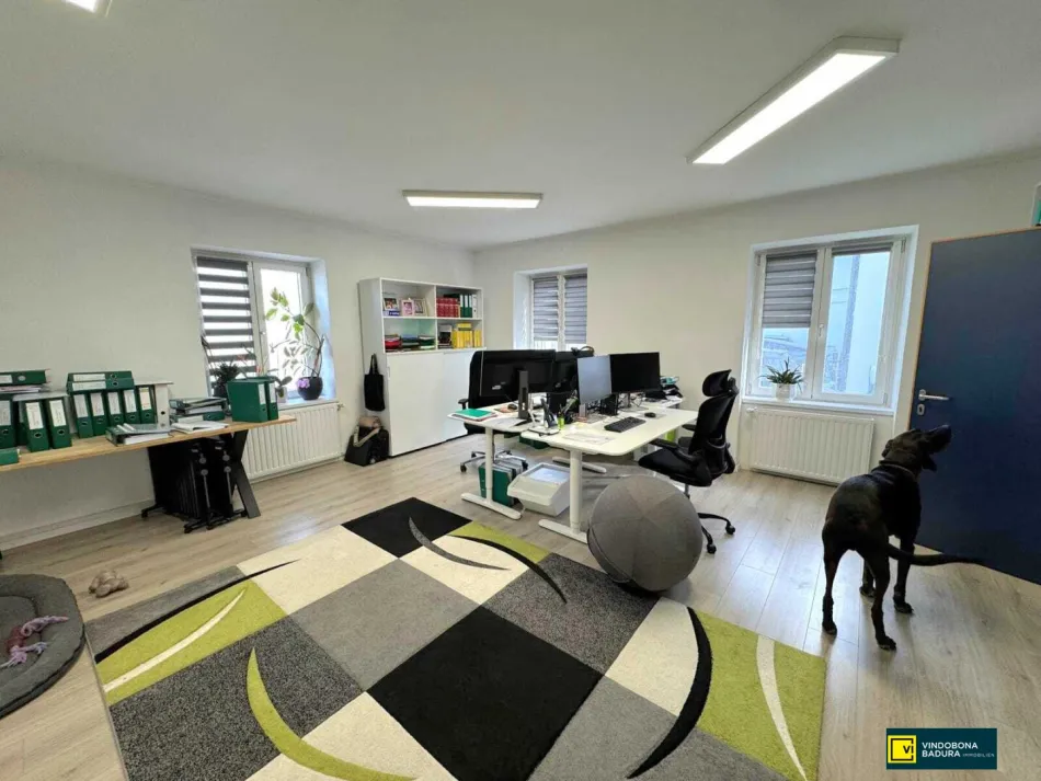 Attraktive Bürofläche in Traiskirchen | 129 m² | Ruhige Lage - Titelbild