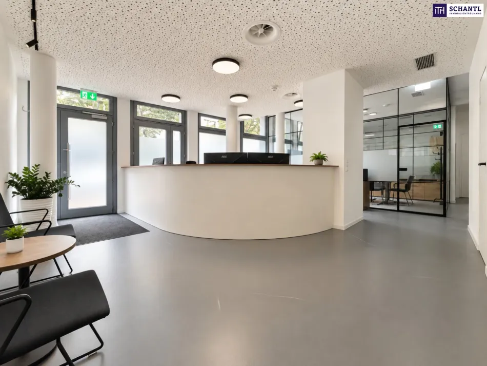 Hochwertig sanierte Büro-/Praxisfläche mit ca. 165 m² – modern ausgestattet & sofort nutzbar! - Bild