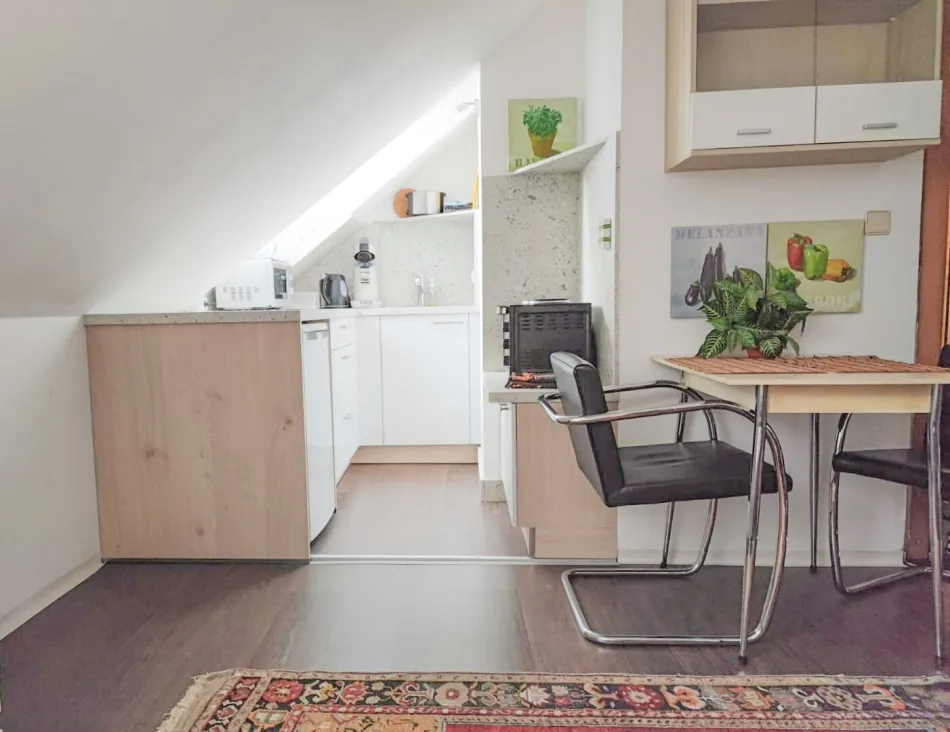 Bezugsfertige, möblierte 1-ZimmerWohnung mit Parkplatz in Hof / Eggenberg Graz - Bild