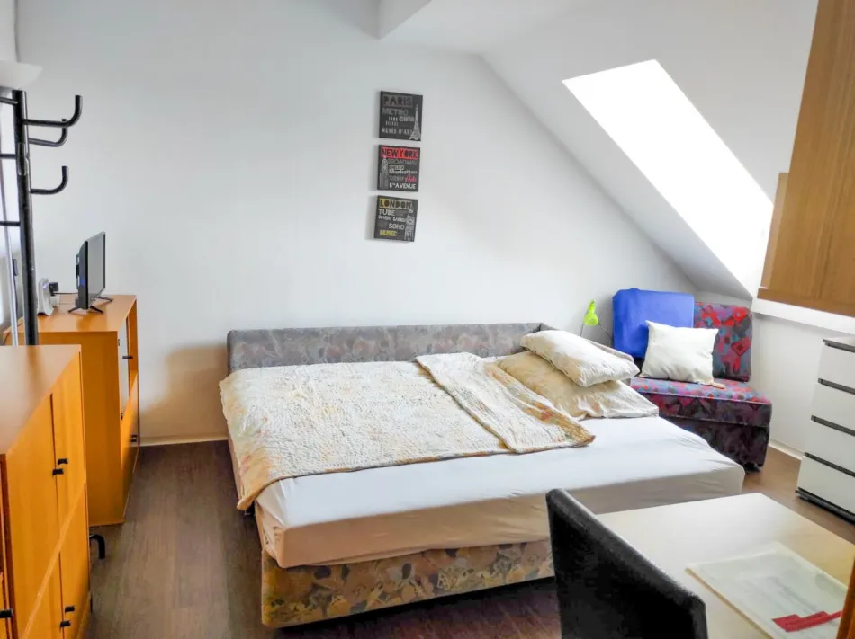Bezugsfertige, möblierte 1-ZimmerWohnung mit Parkplatz in Hof / Eggenberg Graz - Bild