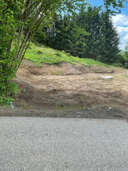 Wo Natur auf Bauland trifft – großzügiges Grundstück in Ruhelage