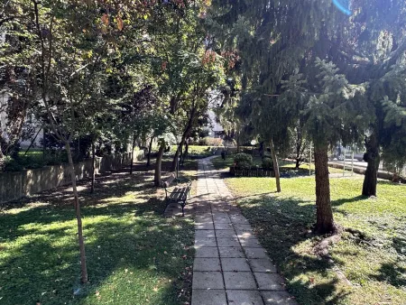 Gemeinschaftsgarten