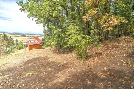 Blick aus Wald
