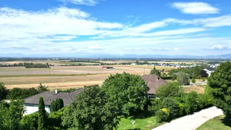 Ausblick