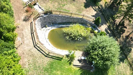 Teich