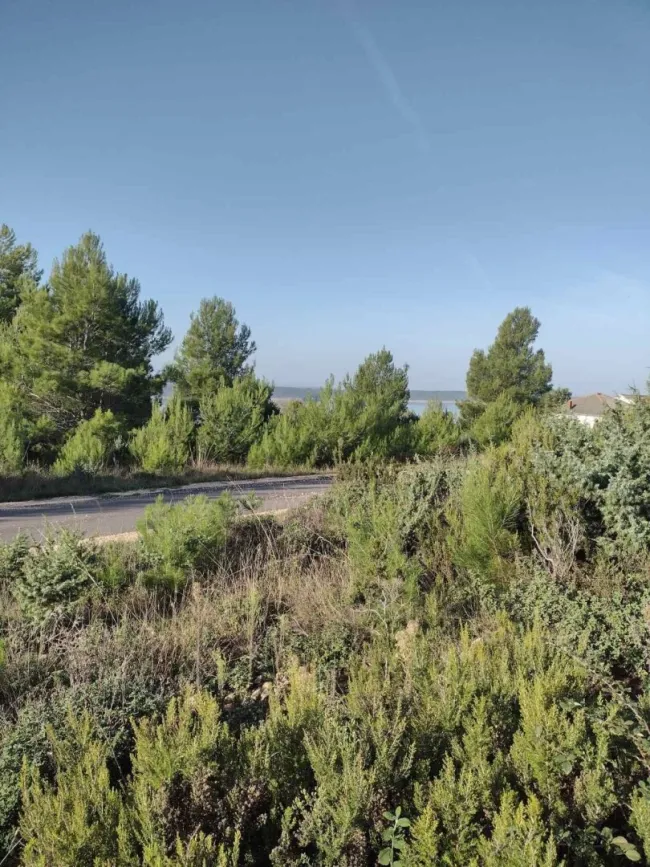 Wunderschönes Baugrundstück in Ražanac bei Zadar – nur ca. 400 Meter vom Meer - Titelbild