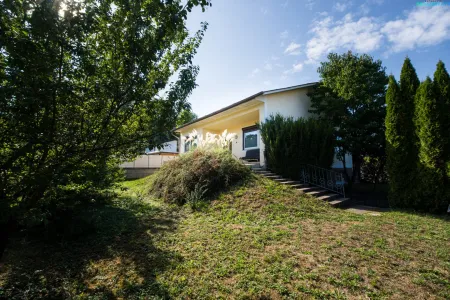 Attraktiver Preis und viel Potential