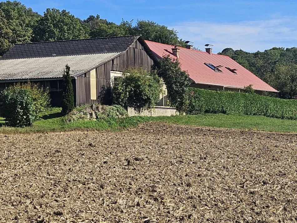Wohnen, Werken & Selbstversorgen in der Südoststeiermark – Einfamilienhaus mit großem Nebengebäude und 1.497 m² Grund in Straden - Bild