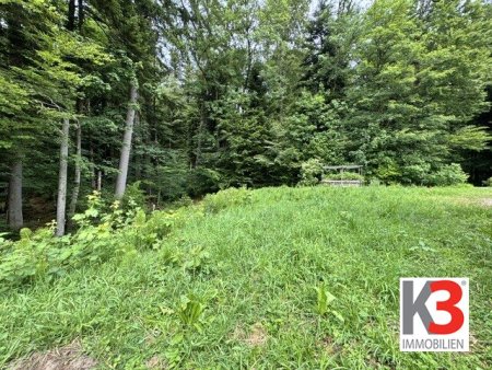 K3 - Auf diesem Baugrund in Koppl könnte bald Ihr neues Eigenheim stehen! Stadtnahes Naturparadies!