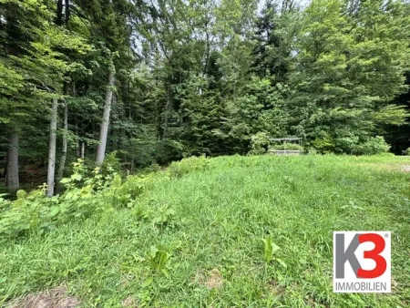 K3 - Auf diesem Baugrund in Koppl könnte bald Ihr neues Eigenheim stehen! Stadtnahes Naturparadies! - Titelbild