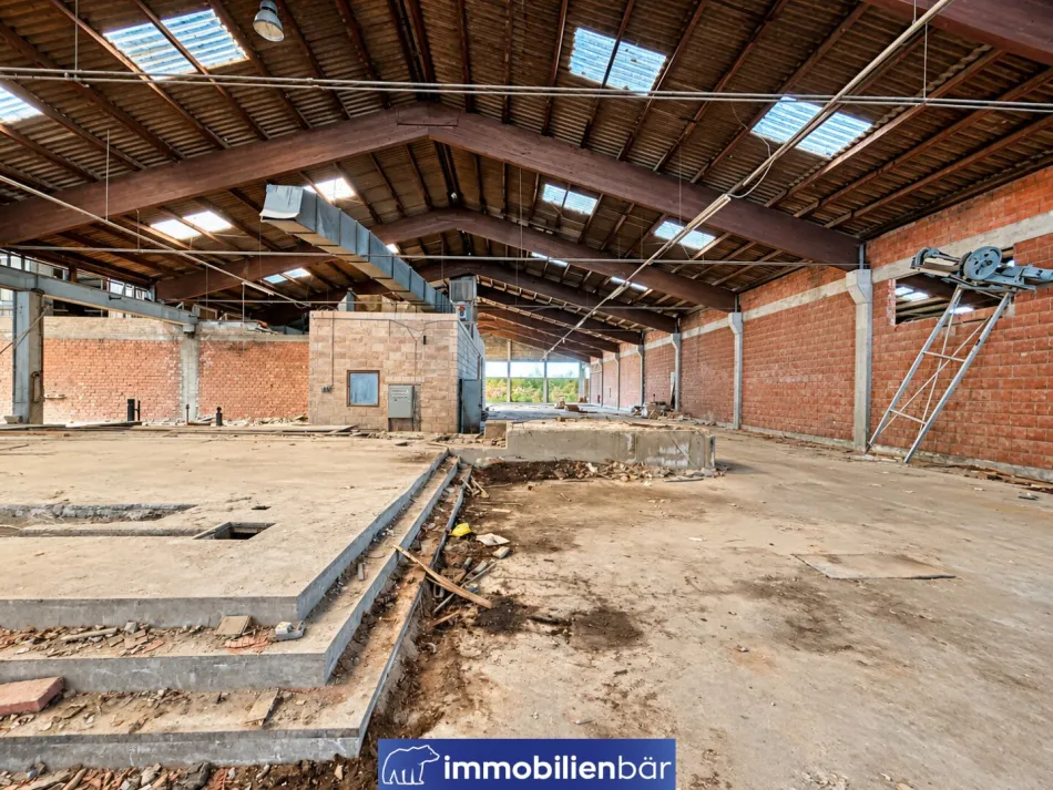 10.000 m2 KALTLAGERHALLEN – Kauf oder flexible Teilanmietung - Bild