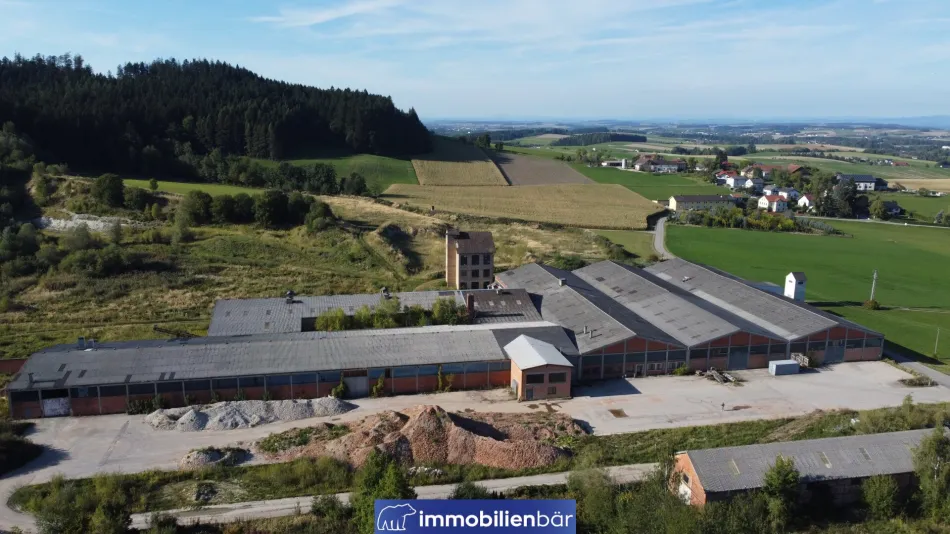 10.000 m2 KALTLAGERHALLEN – Kauf oder flexible Teilanmietung - Bild