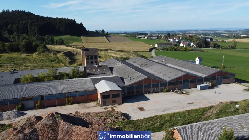 10.000 m2 KALTLAGERHALLEN – Kauf oder flexible Teilanmietung - Titelbild