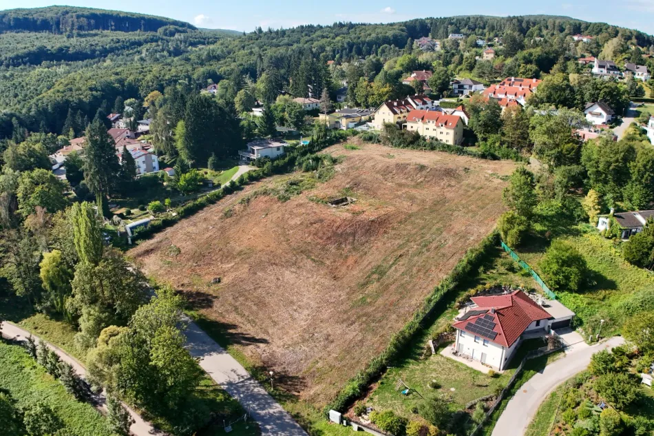 Blick auf den Wienerwaldsee