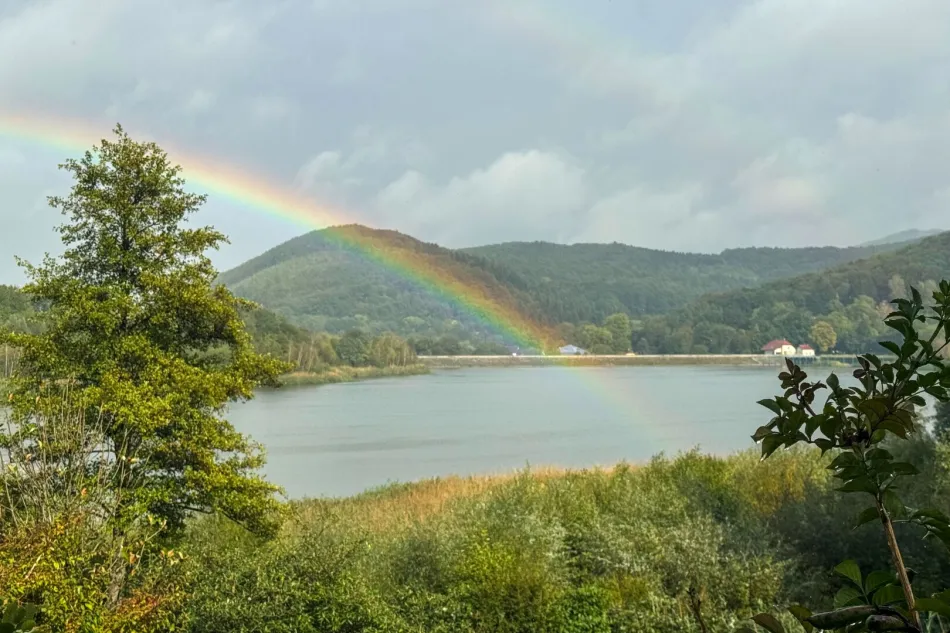 Blick auf den Wienerwaldsee