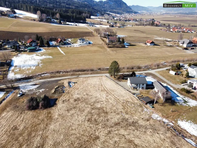 Baugrundstück in sonniger Lage mit Freilandfläche +++ Weißkirchen +++ - Bild