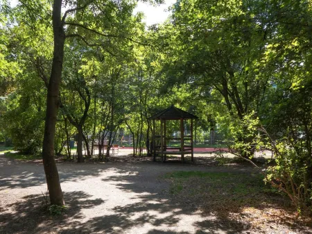 Naher Herbert-Mayr-Park