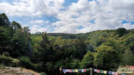 Ausblick von der Terrasse