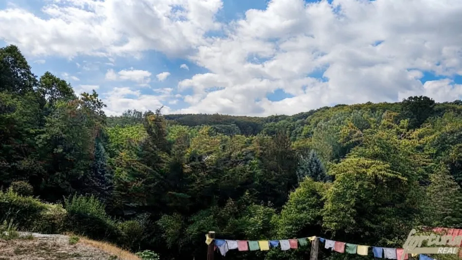 Renovierte 1900er-Jahre Villa in Alleinlage – Ruhe und Natur pur am Berg - Bild