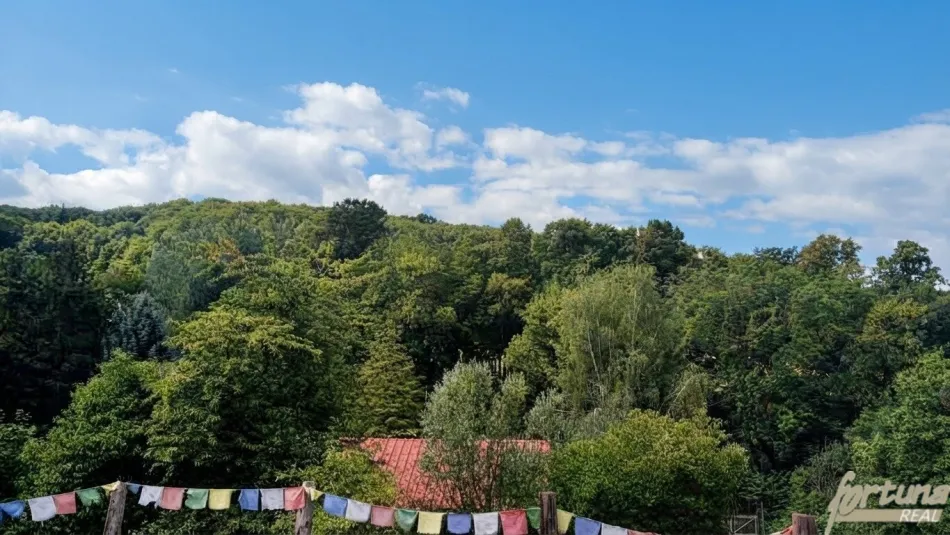 Renovierte 1900er-Jahre Villa in Alleinlage – Ruhe und Natur pur am Berg - Bild