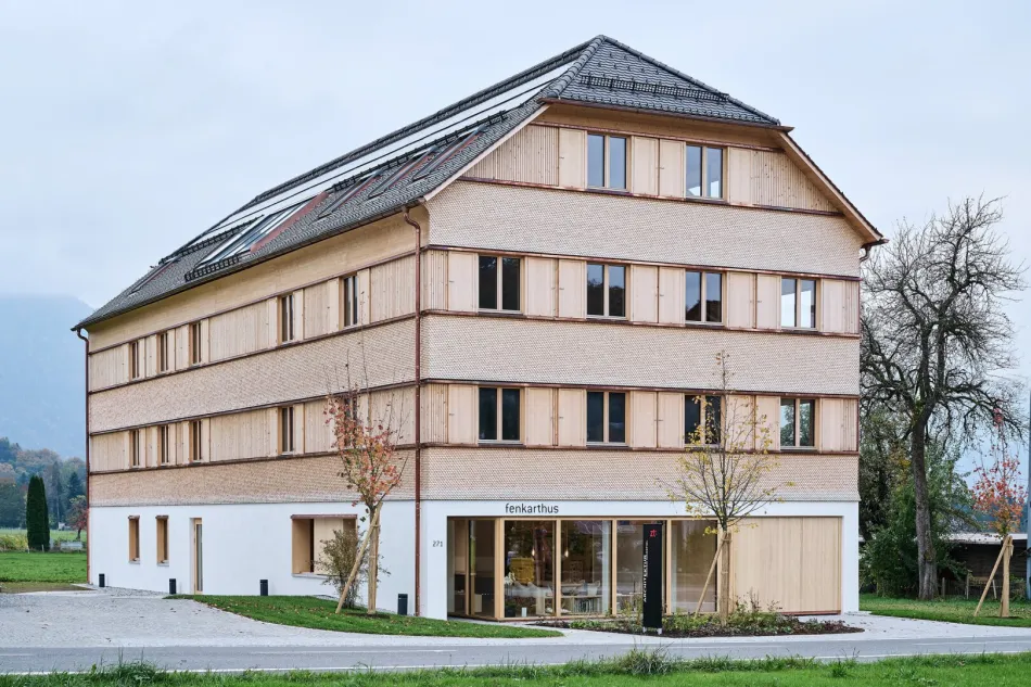 NEUBAU 3-Zimmer-Wohnung mit Terrasse und traumhaftem Sonnenuntergang in Lingenau zum Kauf - Bild