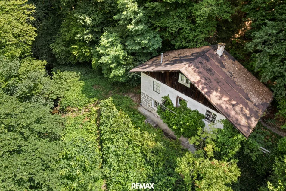 Grundstück am Dießenleitenbach – Naturidylle in Linz-Urfahr - Titelbild